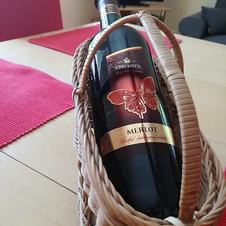 Apartman Hnizdecko Krkonose Διαμέρισμα Svoboda nad Úpou